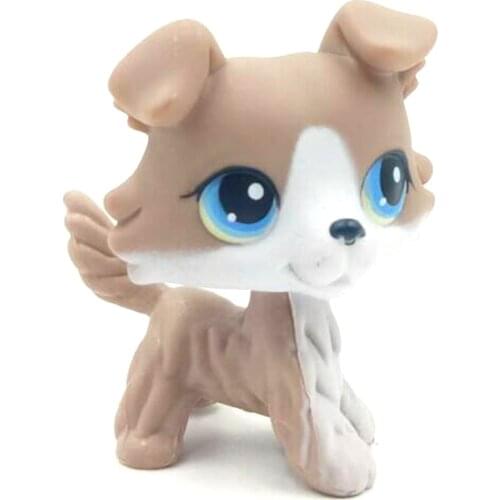 LPS CAT Old original Animal Littlest pet shop toys dog #67 grey & white collie with blue eyes real rare anime toys for child