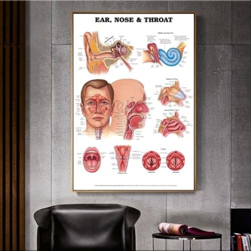 HD print anime painting canvas pictures assassins creed poster wall art for living room childrens bedroom decoration unframed