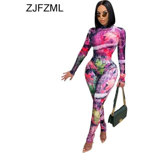 Sheer Mesh See Through Pattern Print 2 Piece Sets for Women Long Sleeve Bandage Bodysuits and Skinny Legging Sweat Suit Outfits