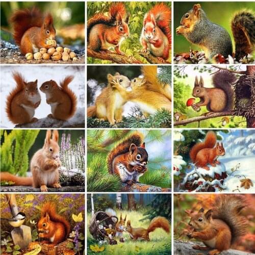 RUOPOTY DIY Painting By Number squirrel Drawing On Canvas Pictures By Numbers Animals Kits Home Decor Hand Painted Paintings Gif