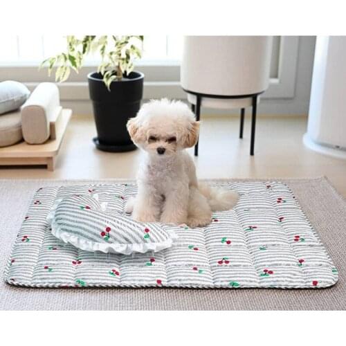 Pet Litter Teddy Bear Sleeping Pad Pet Pillow Four Seasons Available Cat Litter Dogbed Removable Washable