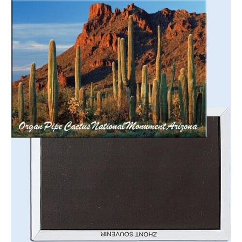 Tourist Souvenirs,Fridge Magnetic,Exquisite Gift 24588, Alamo Canyon, Organ Pipe Cactus National Monument, Arizona