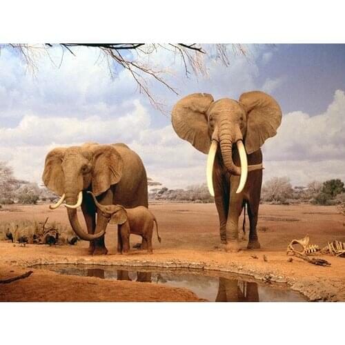 Modern Home Decor Sitting Room Decorate Art Wall Picture Prints On Canvas Painting African Grassland Landscape Animal Elephant