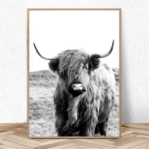 Black And White Poster Highland Cow Canvas Print Farm Animal Wall Art Painting Farmhouse Wall Pictures Living Room Home Decor