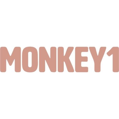 Animal Orangutan Listening Music Canvas Paintings on The Wall Art Posters and Prints Fashion DJ Monkey Pictures for Living Room