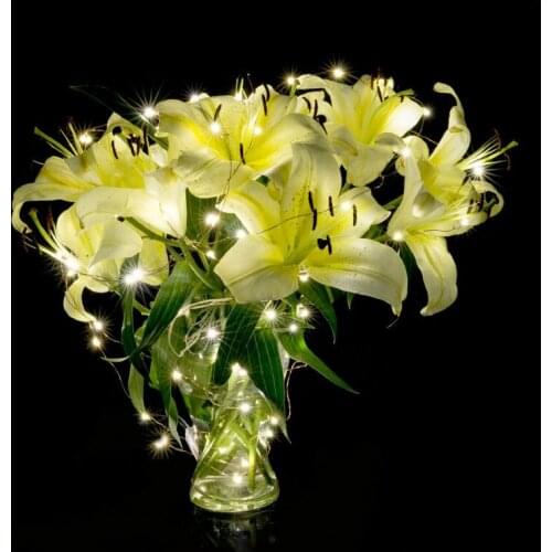 10pcs/lot CR2032 Battery Operated 2M 20 Micro LED String Lights Copper Wire for kitchen accessories /decor garden/hookah