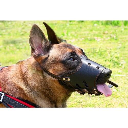 Qianyi Muzzles For Dogs