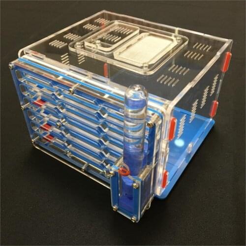 Ant grape series moisture with feeding area ant nest,ant farm acryl, insect ant nests villa pet advanced mania