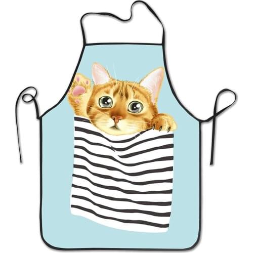 Cartoon Flying Pig with Wings Kitchen Funny Apron Home Chef Bib with For Cooking Gardening Adult Size Unisex Pink Blue