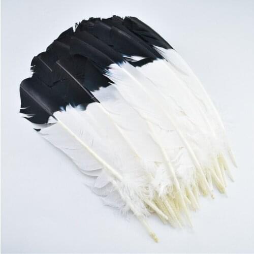 Wholesale 50-100PcsDyed Turkey Wing Quill Feather 25-30cm diy feathers for crafts White Black feathers for jewelry making plumas