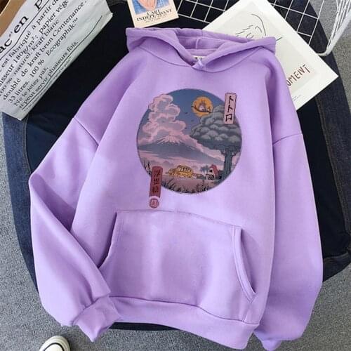 Totoro Studio Ghibli Cute Anime Funny Cartoon Hoodies Women Harajuku Ullzang Kawaii Graphic Sweatshirt Winter Warm Hoody Female