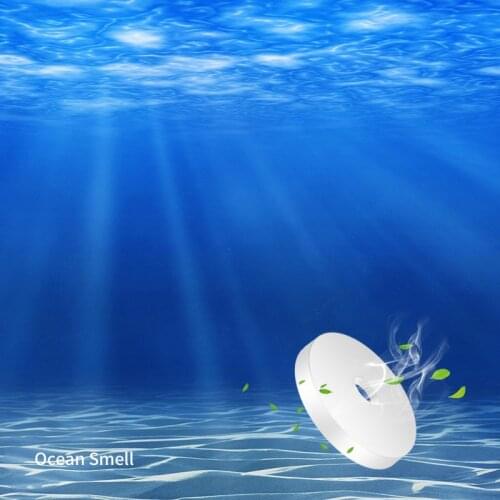 5 PCS Solid Car Perfume Car Air Freshener Supplement Car Air Conditioner Vent Auto Ocean Co Co Refill Auto Air Outlet Perfume