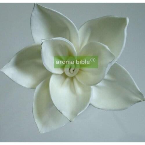 1000 pcs /lot Handmade sola wood flowers for fragrance diffuser and home decor with 12cm Rope or rattan reed sticks Top quality