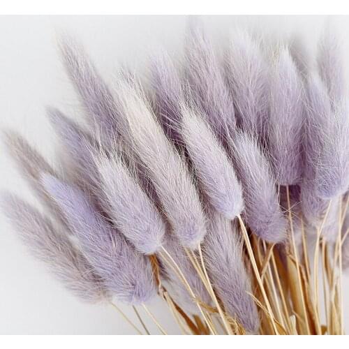 50 Pcs Dried Flower Grass Decoration Photography Props for Home Store Wedding HY99