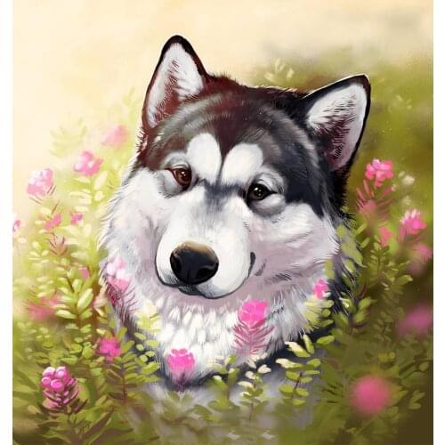 JMINE Div 5D Husky Dog Flower Full Diamond Painting cross stitch kits art High Quality Animal 3D paint by diamonds
