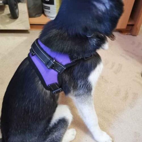 Nylon Heavy Duty Pet Dog Harness Collar Adjustable Padded Extra Big Large Medium Vest Husky Dogs Supplies