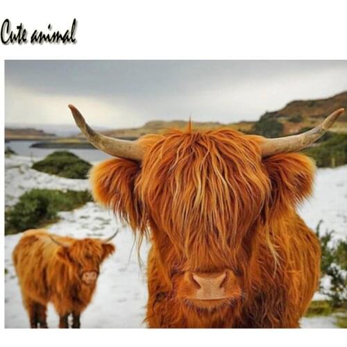 5D Diamond Painting Highland Cattle Picture DIY Full Square Round Drill Embroidery Mosaic Animal Cross Stitch Handwork Gift New