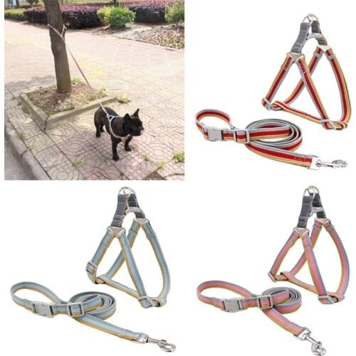 Pet Dog Harness And Leash Set for dog & cat Running or Training Collar and Harness Cat Dog Accessories