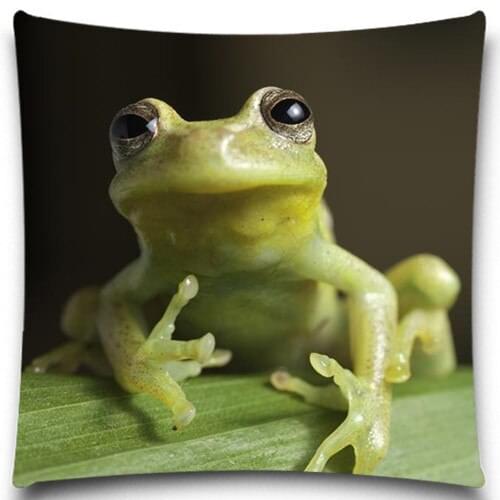 Cute Butterfly/Frog for Home car Decor Cushion Cover Square 5 size 9 style Sofa Decorative Cotton/Polyester Pillow Covers