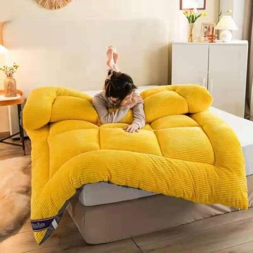 Home Textiles Winter Warm Velvet Bed Mattress Thickened Soft Mattress Single Double Full Size Soft Mattress Cushion Bed Mattress