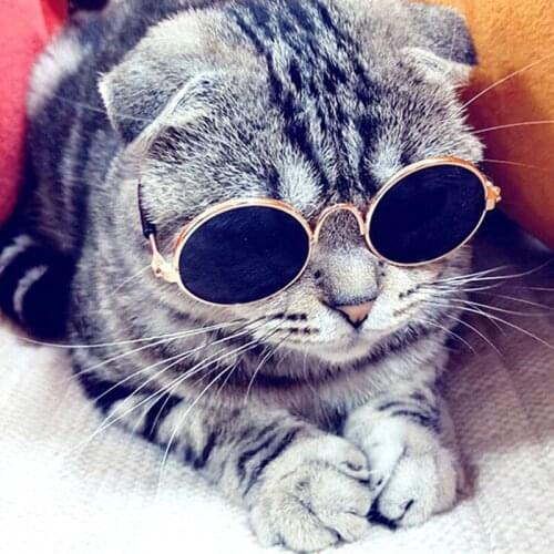 Pet Products Lovely Vintage Round Cat Sunglasses Reflection Eye wear glasses For Small Dog Cat Pet Photos Props Accessories