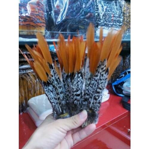 New! wholesale 50 pc / lot of Lady Amherst Pheasant tail feathers, 6-8 "/ 15-20cm DIY Jewelry Decoration Accessories