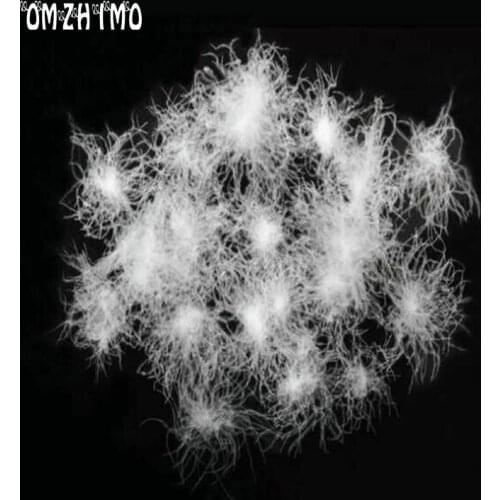 50g golden goose White Duck Down Jackets materials filling and filling pieces shoes cloth