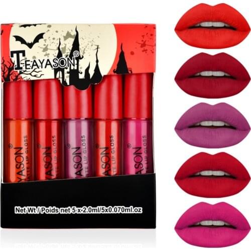 Long Lasting Non-stick Cup Waterproof Velvet Matte Lip Gloss Lipstick Easy To Color Fashion Lip Glaze Makeup Cosmetic Set TSLM2