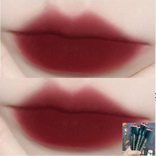 2021 Christmas Limited Lip Gloss Velvet Matte Lipstick Mirror Surface Lip Glaze Women Beauty Cosmetic Lip Makeup Natural