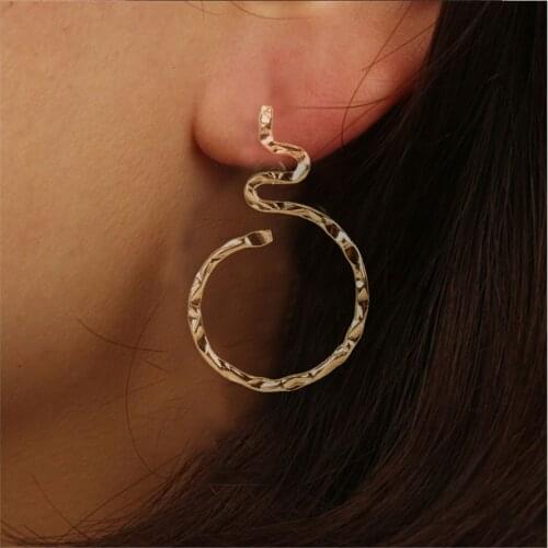 Classic New Exquisite Little Snake Pendant Punk Round Earrings Fashion Snake Animal Earrings Feminine Charm Hoop Earrings Women