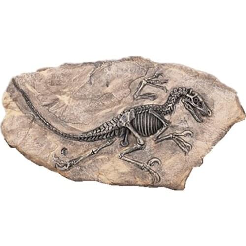 Resin Dinosaur Fossil Figurine Silicone Cement Mold Desk Home Decoration Clay Craft Skull Sculpture Room Ornament Concrete Mould