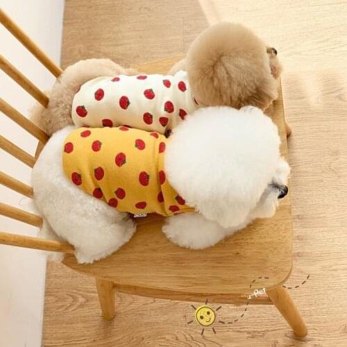 Petto Nikki Vests For Dogs