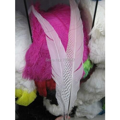 50Pcs/lot!Natural Pretty Silver Pheasant tail feathers,Silver Pheasant Tails, 24-26inches/60-65cm,Silver Feathers