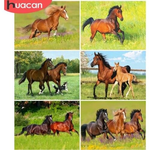 HUACAN 5D Diy Diamond Painting Kits Animal Horse Mosaic Embroidery Grassland Cross Stitch Rhinestones Picture Home Art
