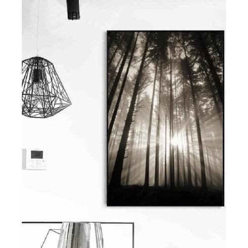 Modern Lush Forest Sunshine Scene Posters Prints Wall Art Canvas Painting Fashion Pictures for Living Room Office Decor