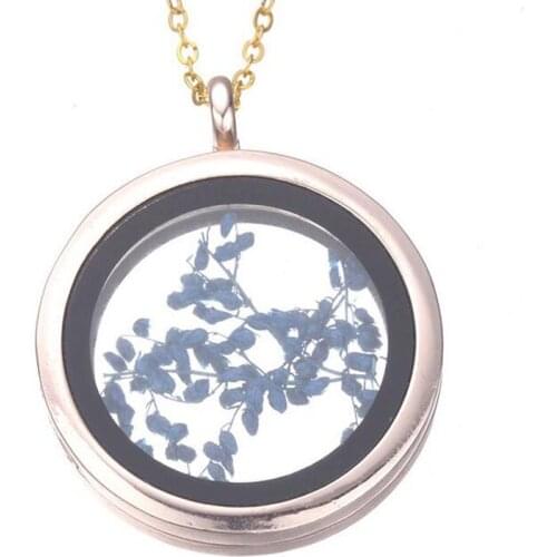 Alloy 25mm Floating Locket Book Open Magnetic Glass Floating Locket Pendant for Charms Free Chain as Gift