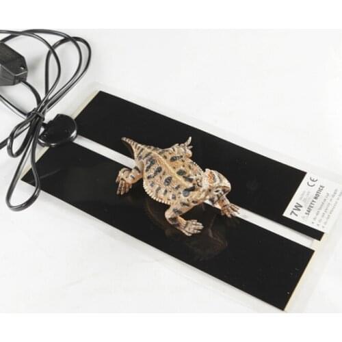 Pet Terrarium Reptiles Box Ant Farm Heat Mat Heating Warm Pad Ant Nest Adjustable Temperature Controller Incubator Mat 5-35W