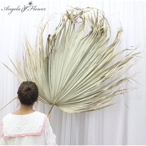 10 Pcs Dried Flower Large Dried Leaves Artificial Plants Palm Leaf Sunflower Fan Leaf Home Decor Wedding Flower Wall Materials