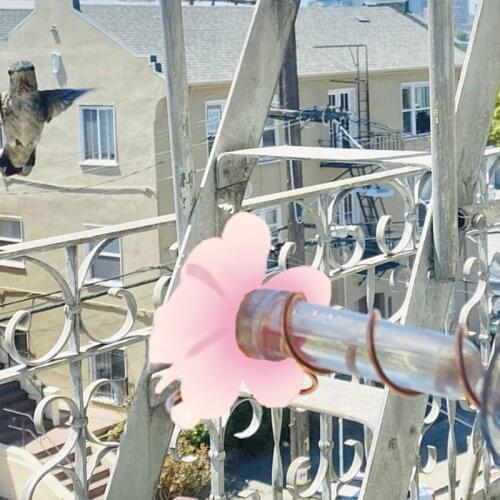 Pink and White Hummingbird Feeders Great for Garden Decoration and Bird Watching for Bird Lovers 15cm Plastic and Metal