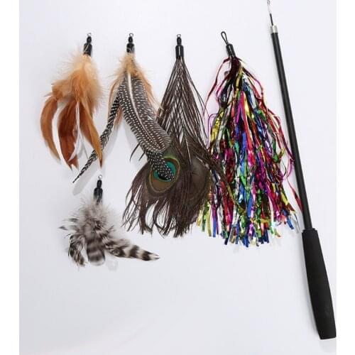 6pcs Interactive Cat Feather Tosy Pet Teaser Stick Wand Toys for Kitten Cat Funny Pet Cat Teasing Rod Pet Training Supplies