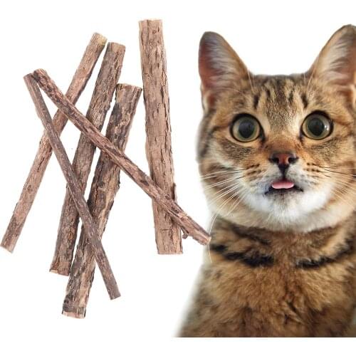 Anpro Toys For Cats