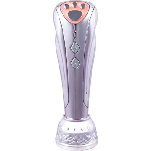 Portable EMS Micro Current Photon Facial Massage Multifunctional Beauty Hot and Cold Facial Skin Rejuvenation Machine
