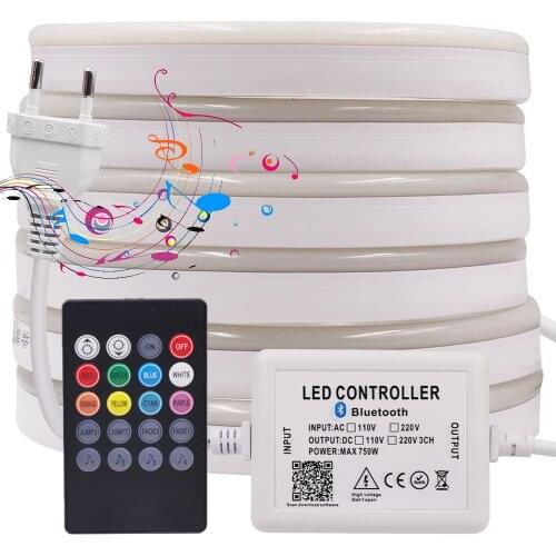 110V 220V RGB Neon Light Led Strip SMD 5050 Neon Rope light Tape with 750W 20key Bluetooth Music RGB Controller Waterproof Light