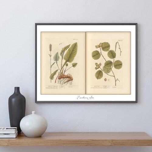 Vintage Botanical Herb Pages for Junk Journal Posters and Prints Plant Retro Wall Art Canvas Painting Pictures Home Room Decor