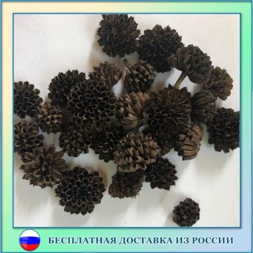 Орешка Artificial Flowers For Decoration