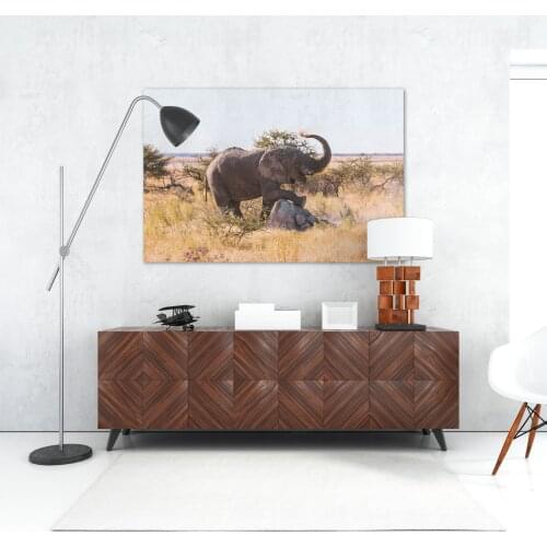 Savanna Animals Wall Pictures In The Living Room