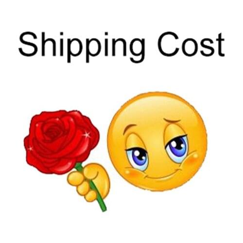 Shipping fee $0.3
