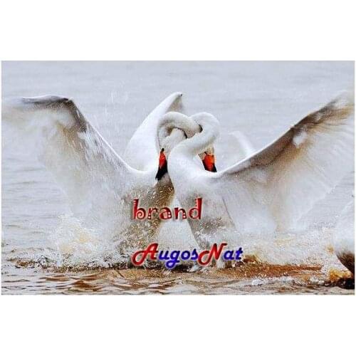 Birds diamond painting full swans lovers rhinestone embroidery wedding mosaic decor dimond dots poster wall paper diy craft gift