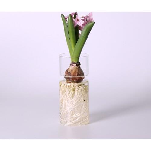 Clear Glass Flower Vase Hydroponic Plant Holder Container Bud Vase for Small Flowers