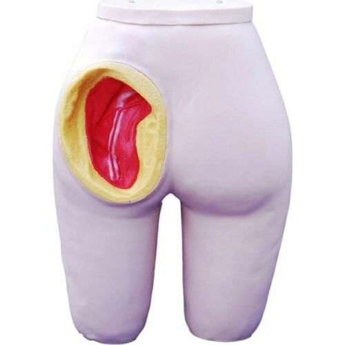 Medical Science Subject Simulator Series Advanced Intramuscular Injection Training Model